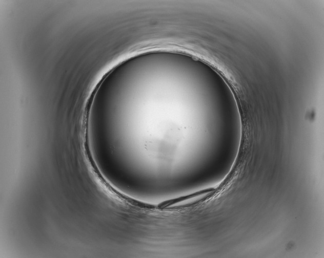 X0000099421526200805091231
