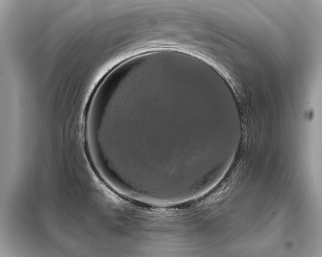 X0000099421527200805091231