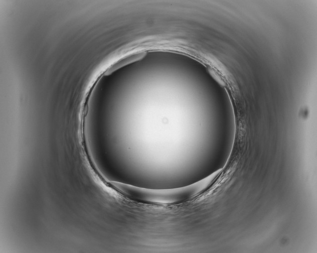 X0000099421528200805091231
