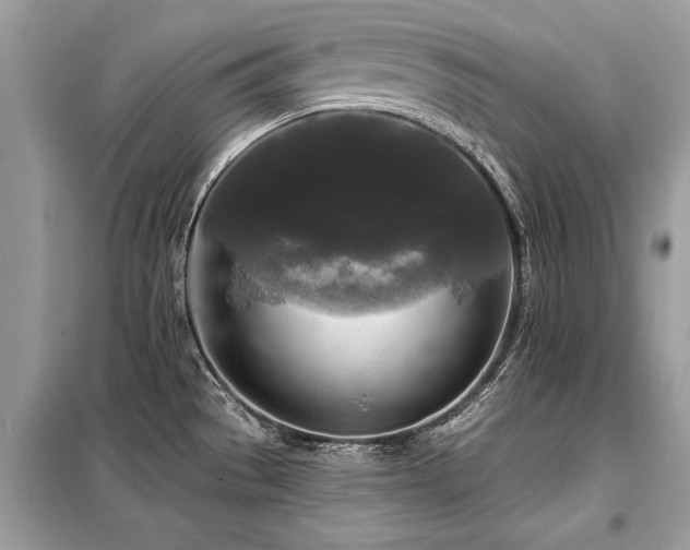 X0000099421529200805091231