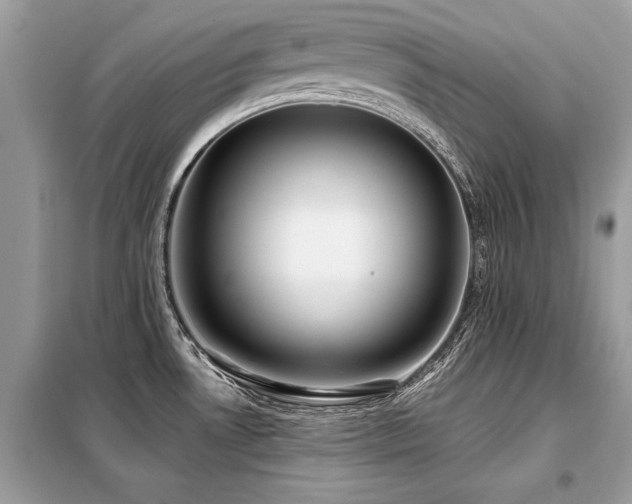 X0000099421530200805091231