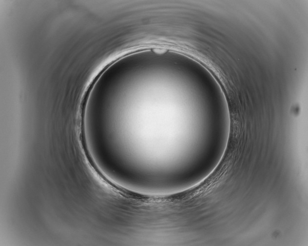 X0000099421531200805091231