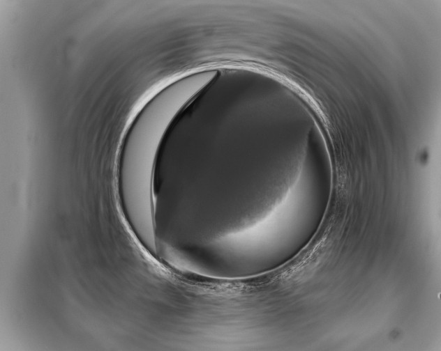 X0000099421533200805091231