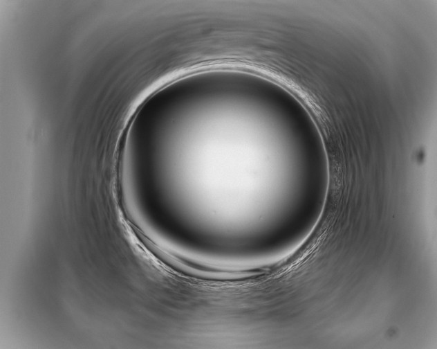 X0000099421534200805091231
