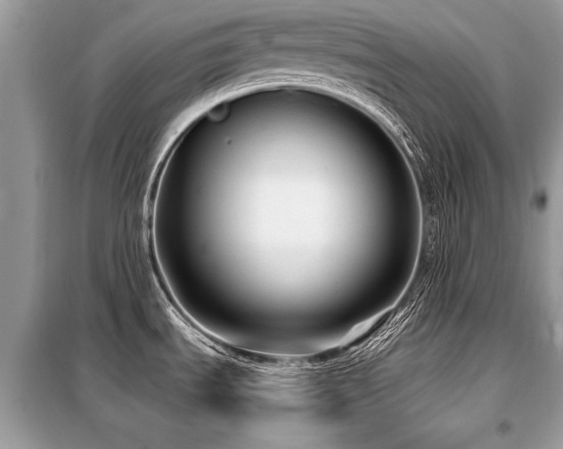 X0000099421535200805091231
