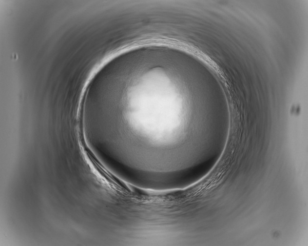 X0000099421536200805091231
