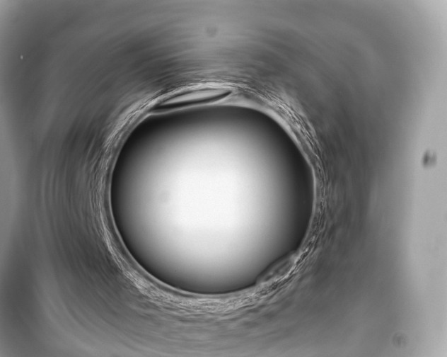X0000099420001200805161057