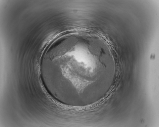 X0000099420002200805161057