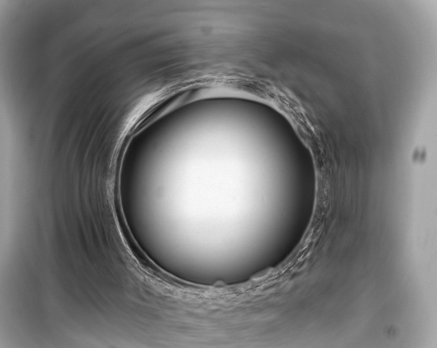 X0000099420003200805161057