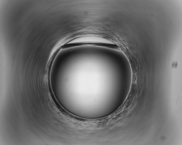 X0000099420004200805161057