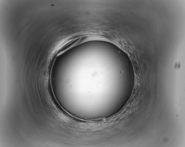 X0000099420005200805161057