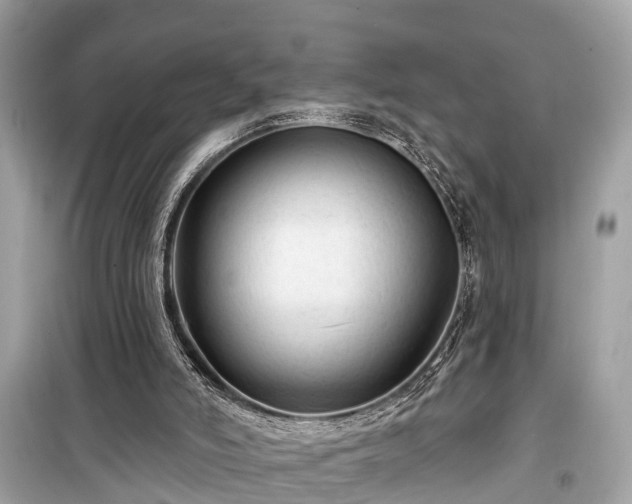 X0000099420006200805161057