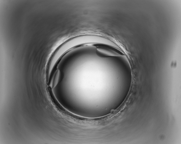 X0000099420008200805161057