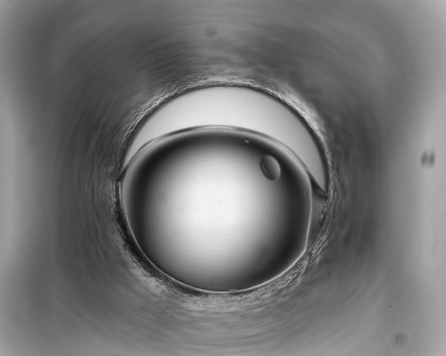 X0000099420009200805161057