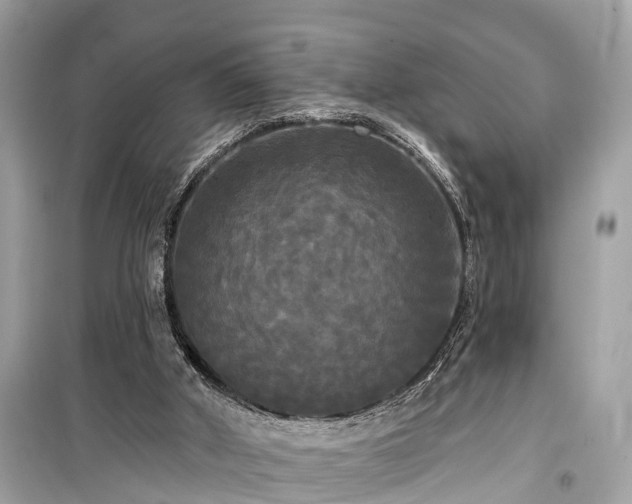 X0000099420010200805161057