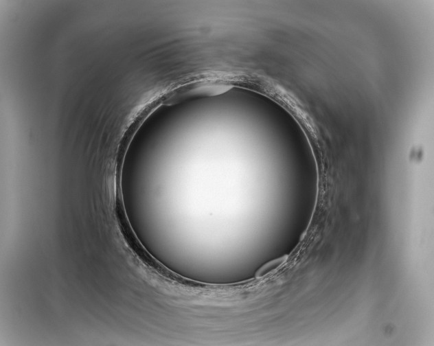X0000099420011200805161057