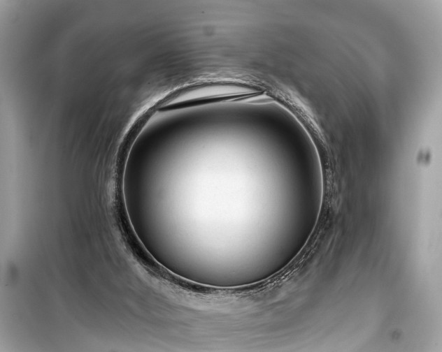 X0000099420012200805161057