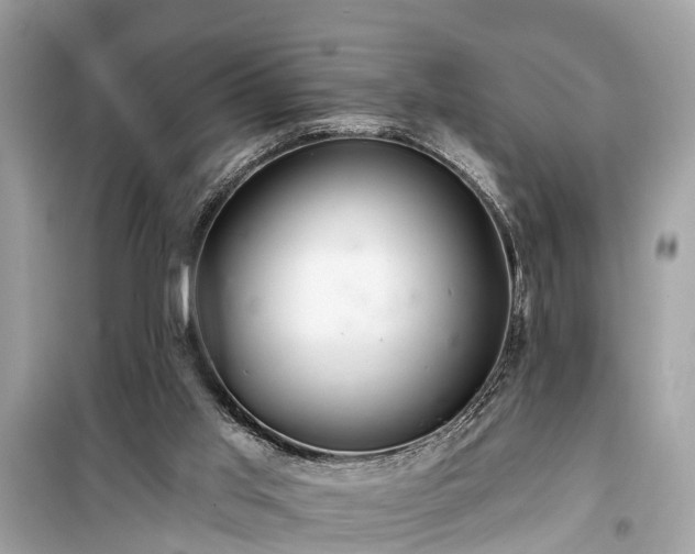 X0000099420013200805161057
