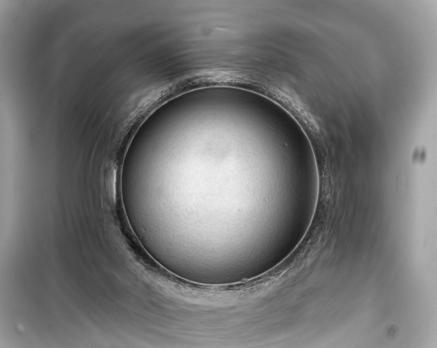 X0000099420014200805161057