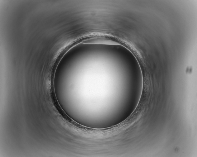 X0000099420015200805161057