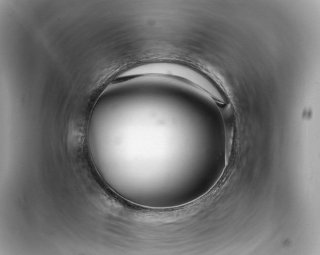 X0000099420017200805161057