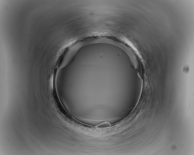 X0000099420019200805161057