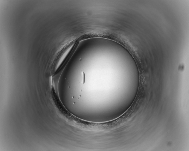 X0000099420020200805161057