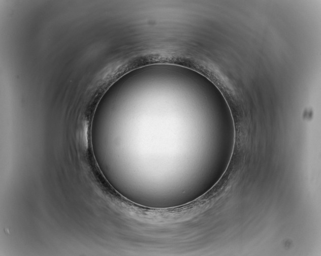 X0000099420022200805161057