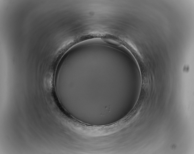 X0000099420023200805161057