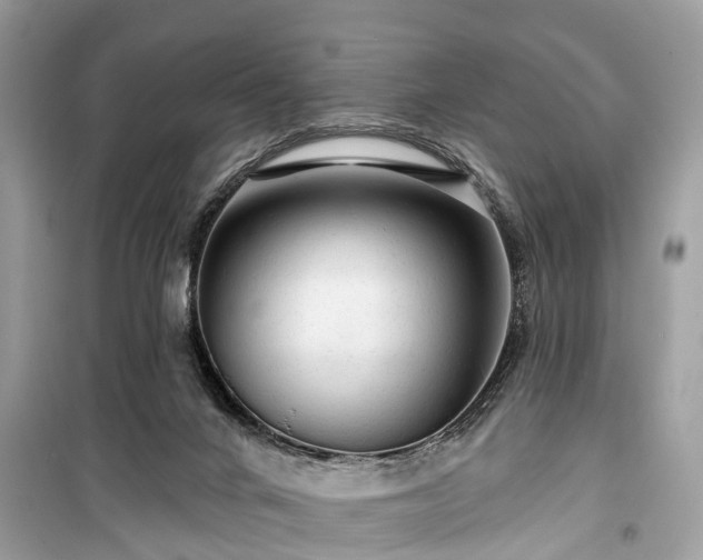 X0000099420024200805161057