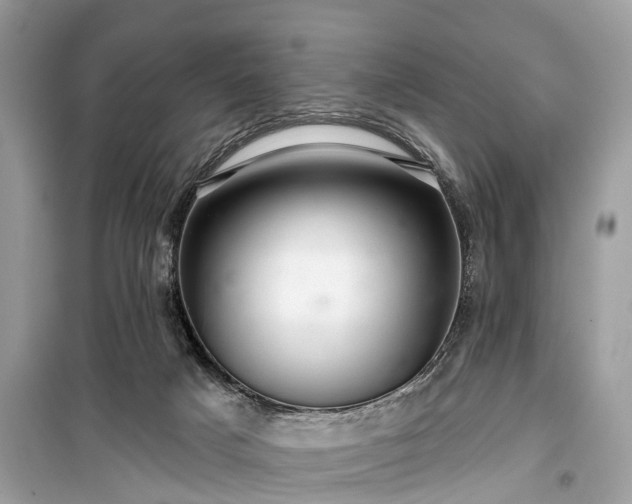X0000099420025200805161057