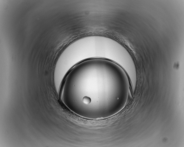 X0000099420027200805161057