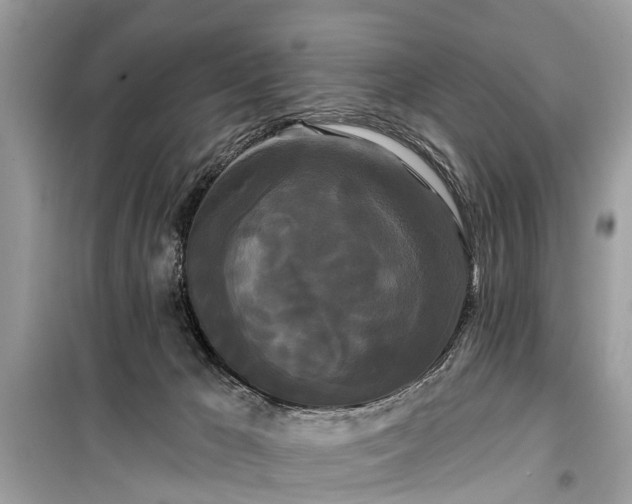 X0000099420029200805161057