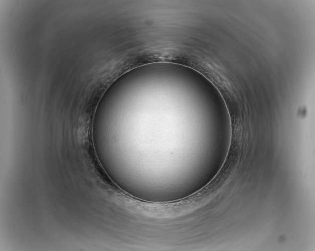 X0000099420030200805161057