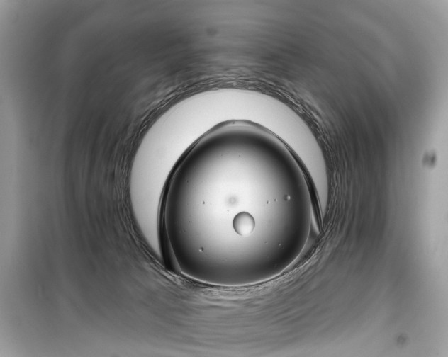 X0000099420033200805161057