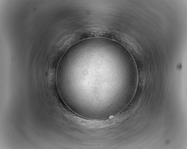 X0000099420034200805161057