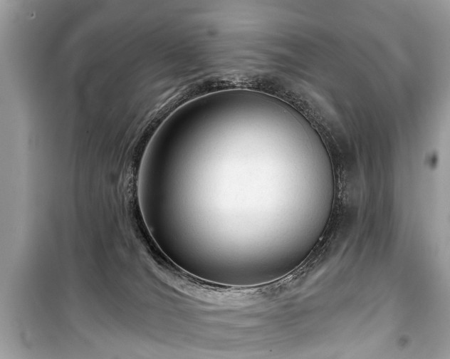 X0000099420036200805161056