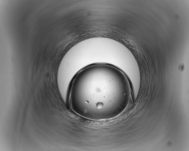 X0000099420037200805161056