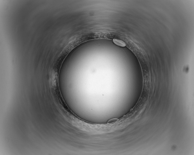 X0000099420038200805161056