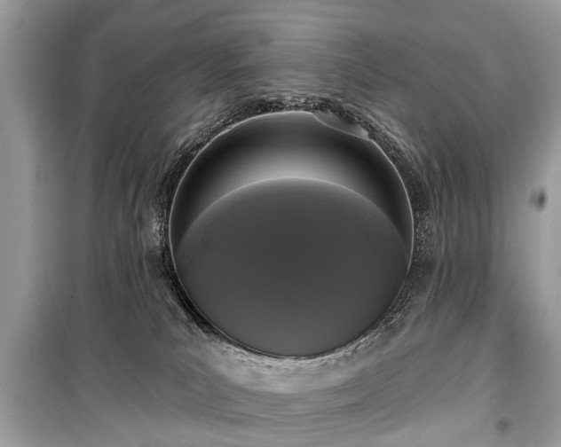 X0000099420039200805161056