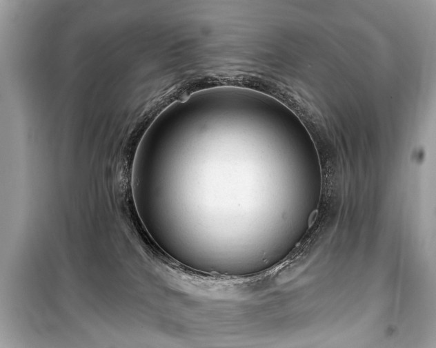 X0000099420040200805161056