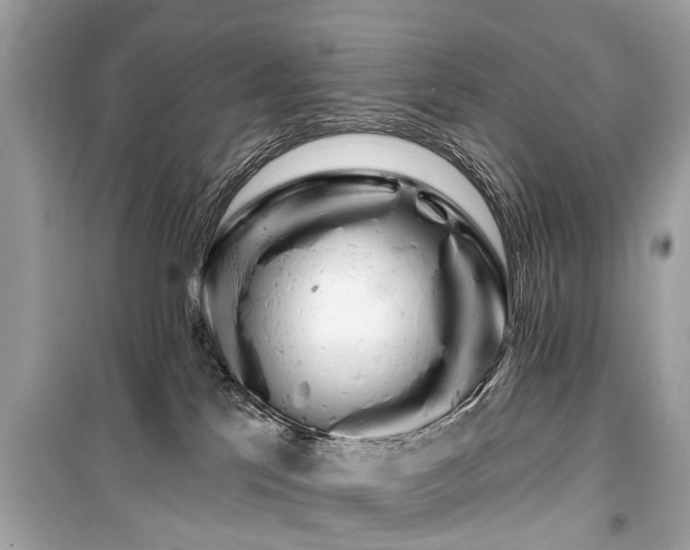 X0000099420041200805161056