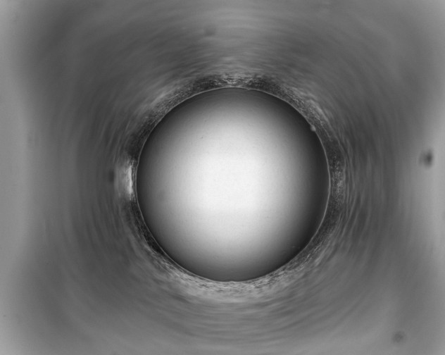X0000099420042200805161056