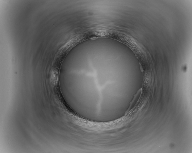 X0000099420043200805161056