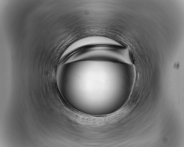 X0000099420048200805161056