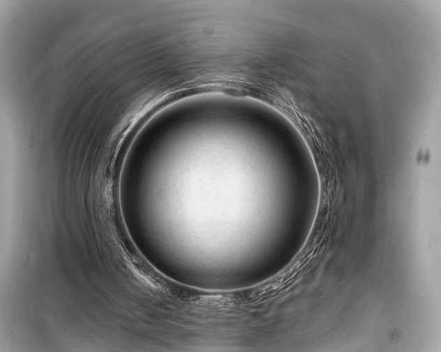 X0000099420050200805161055