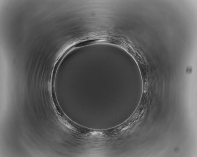 X0000099420052200805161055
