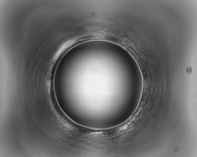 X0000099420054200805161056