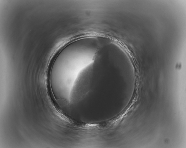 X0000099420055200805161056