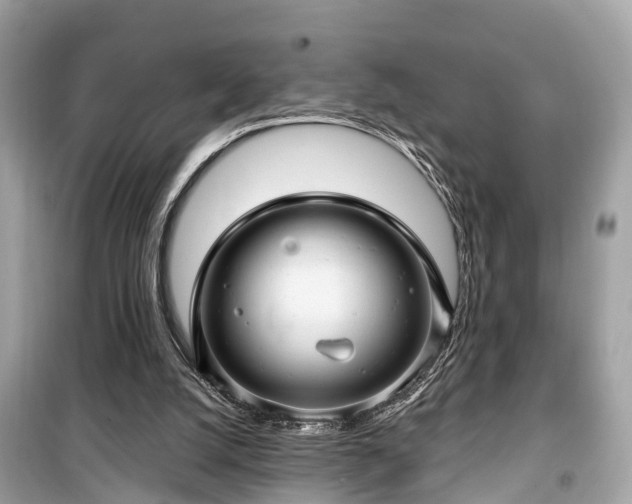 X0000099420056200805161056